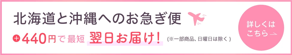 北海道航空便