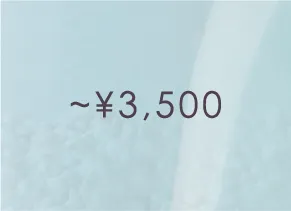 ～3,500円