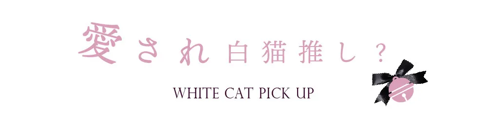 愛され白猫押し