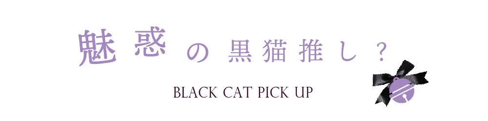 魅惑の黒猫推し