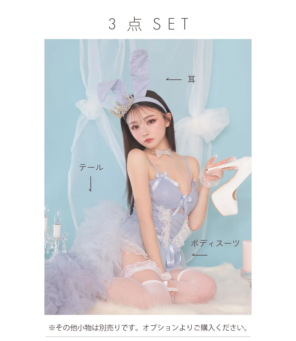 3～4点セット】10th Bunny CinderellaBlue 10周年 バニー ブルー