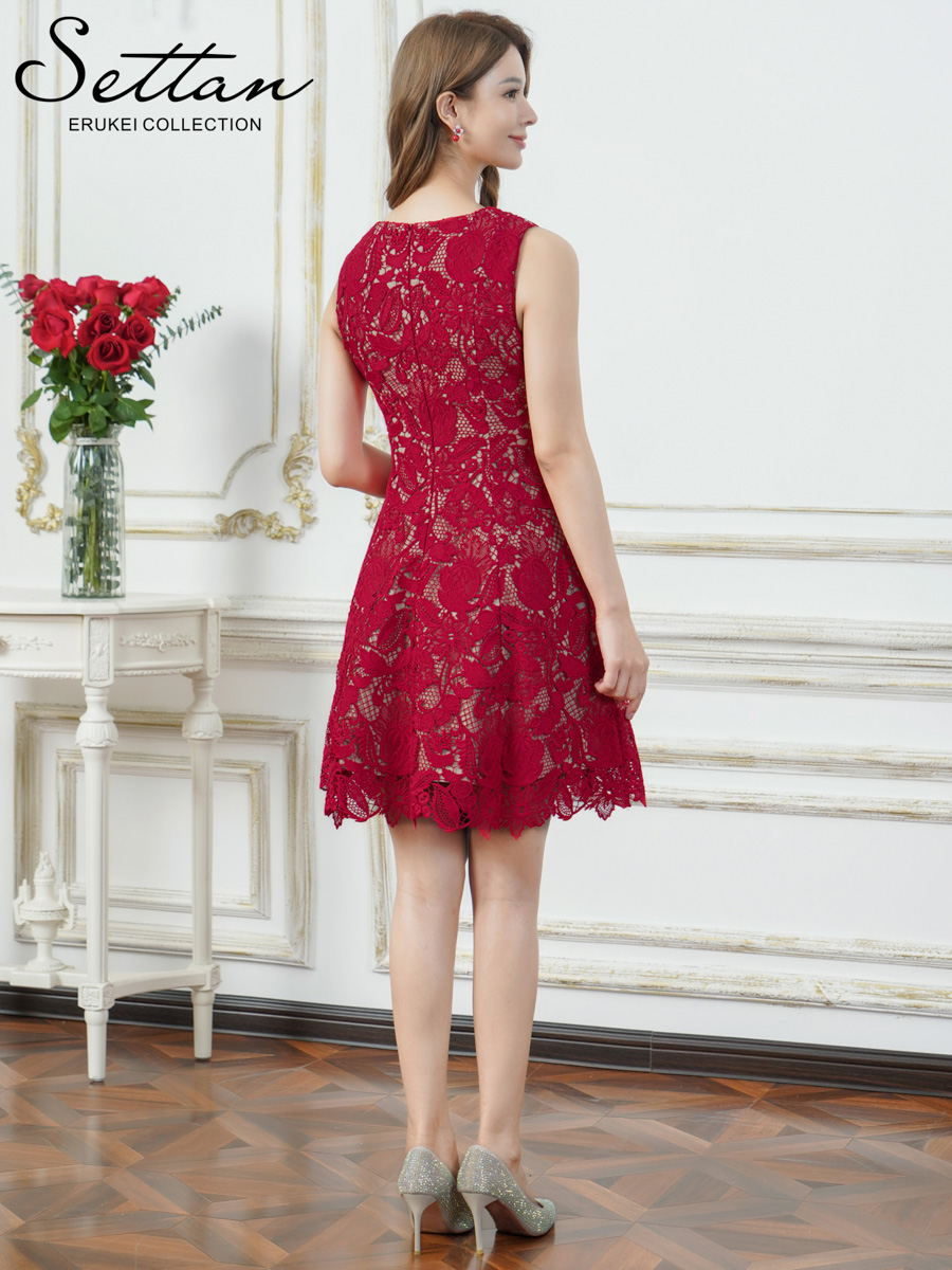 ERUKEI エルケイ ケミカルレース・総レース・Aライン・フレア・ミニドレス・ワンピース ek-s25088