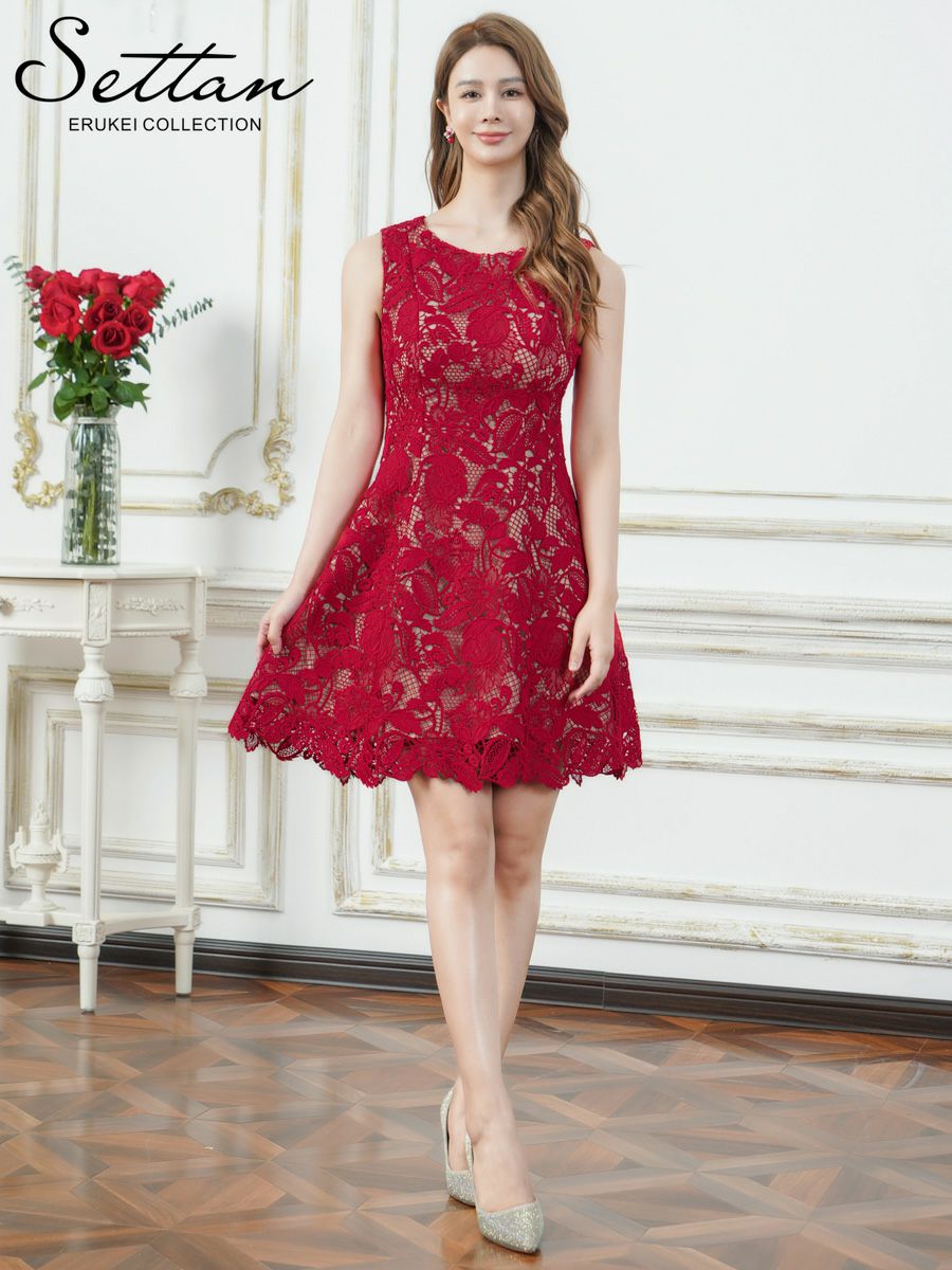 ERUKEI エルケイ ケミカルレース・総レース・Aライン・フレア・ミニドレス・ワンピース ek-s25088