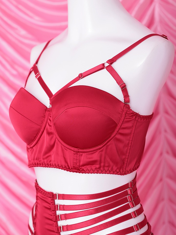 【4点セット】Sideline sexy lingerie bunny サイドラインセクシーランジェリーバニー レッド vcsbn-25075-2